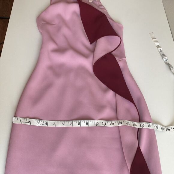 Cushnie Et Ochs Pink and Maroon Ruffle One Shoulder Midi Dress Size 2 - Picture 12 of 15